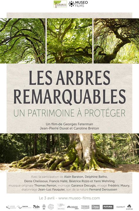 Les arbres remarquables